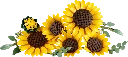 blt1c33118501c8da2f-11502_Prod.webp
