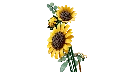 blt1c33118501c8da2f-11502_WEB_SEC02_NOBG.webp