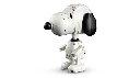 21368_WEB_SEC05_NOBG.webp