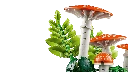 bltaa6c5faaf18aa138-11505_WEB_SEC03_NOBG.webp