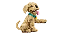 blt00e69bfd89abdb56-11384_WEB_SEC03_NOBG.webp