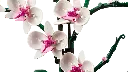 10311_alt3.webp