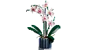 10311_alt2.webp