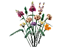 10280_alt4.webp