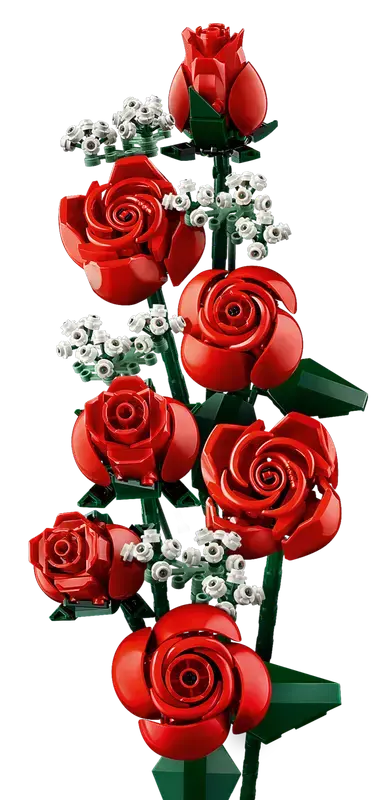 10328_alt2.webp