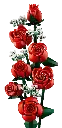 10328_alt2.webp