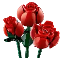 10328_alt3.webp