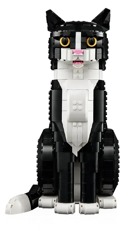 21349_WEB_SEC01.webp