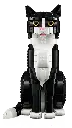21349_WEB_SEC01.webp