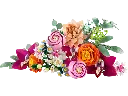 10342_Prod.webp