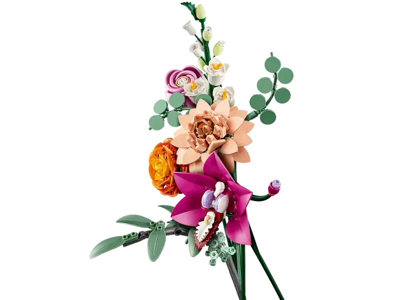 10342_WEB_SEC01_NOBG.webp