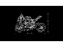 42130_alt7.webp