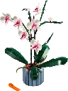 10311 Orchidee