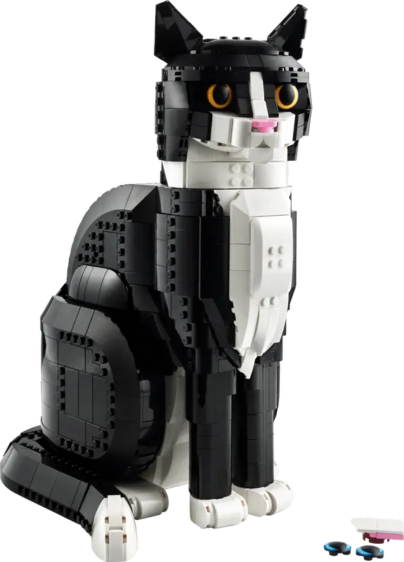 21349 Zwart-witte kat