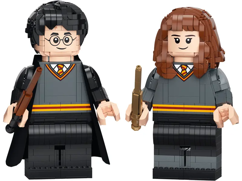 76393 Harry Potter et Hermione Granger™
