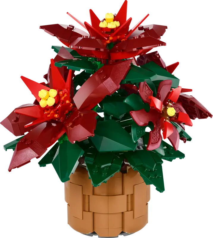 10370 L’étoile de Noël