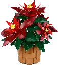 10370 L’étoile de Noël