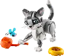 31163 Le chat joueur