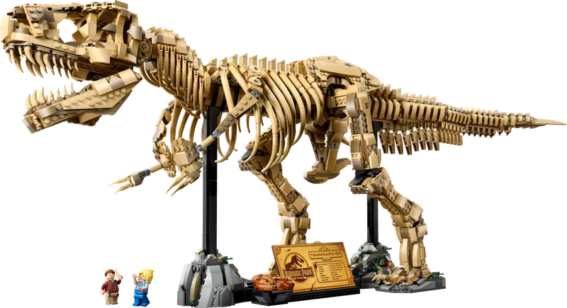 76968 Les fossiles de dinosaures : le Tyrannosaurus rex