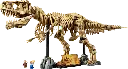 76968 Les fossiles de dinosaures : le Tyrannosaurus rex