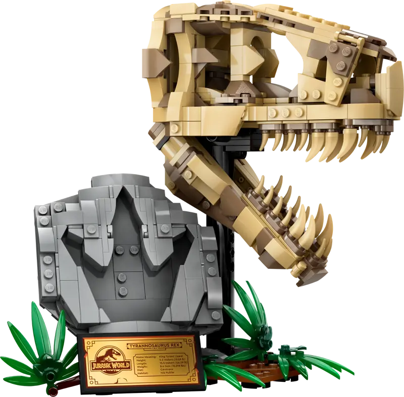 76964 Les fossiles de dinosaures : le crâne du T. rex