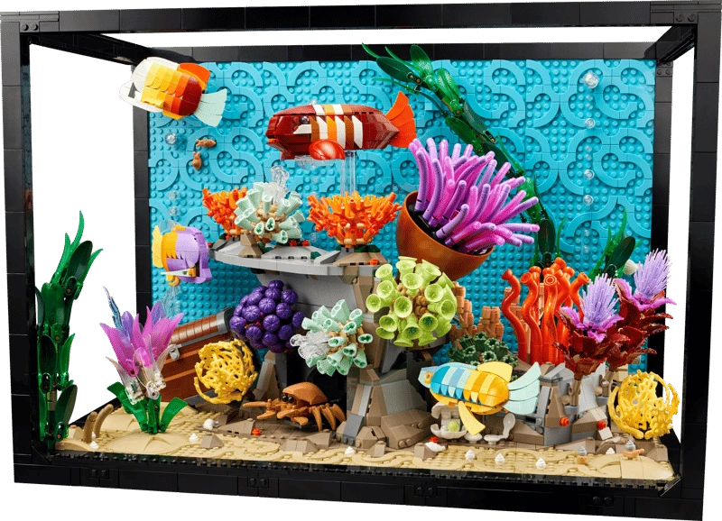 10366 L’aquarium tropical