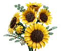 11502 Le bouquet de tournesols