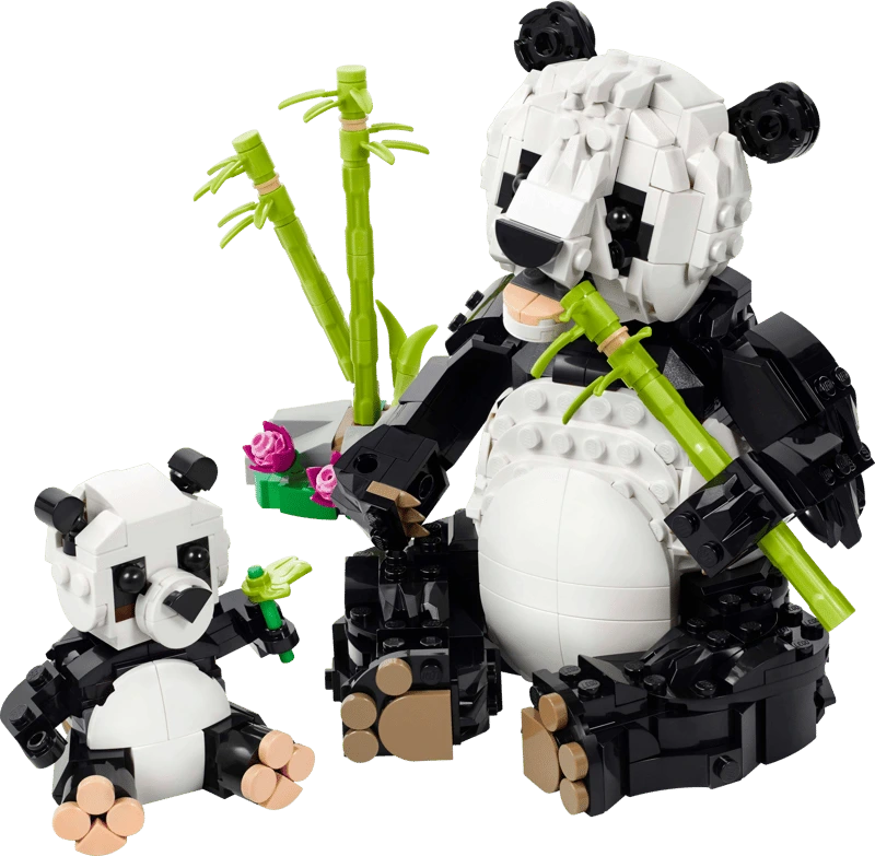 31165 Animaux sauvages : la famille de pandas