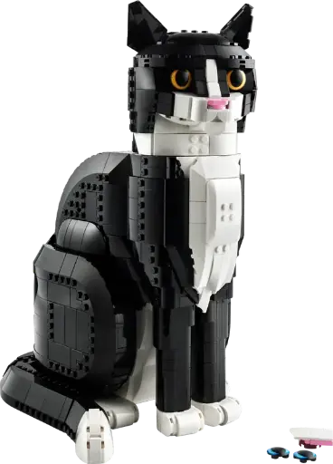 21349 Zwart-witte kat