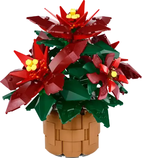 10370 Kerstster