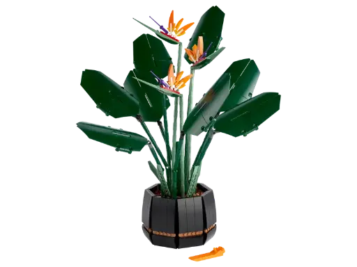 10298 Paradijsvogelplant