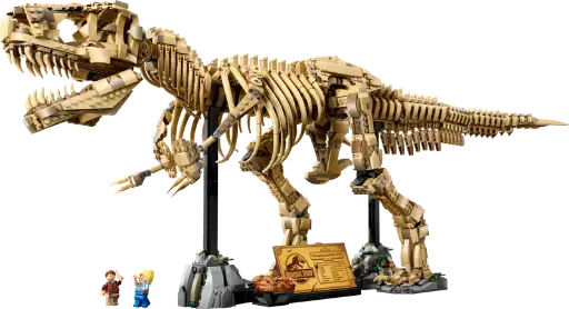 76968 Les fossiles de dinosaures : le Tyrannosaurus rex