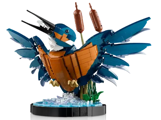 10331 Le martin-pêcheur